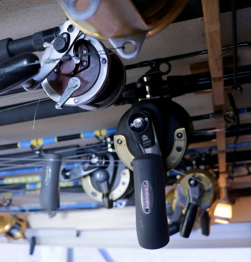 A collection of fishing rods and reels hanging from a ceiling, showcasing various fishing gear in an organized display.